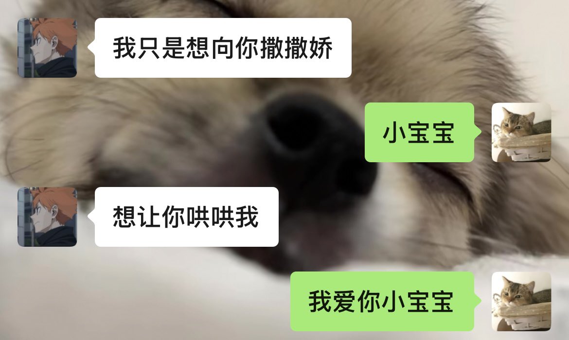 uuliforme's tweet photo. 唉…再看还是觉得太可爱……唉……我宝宝咋会这么萌……… https://t.co/Z73nkzOZOx