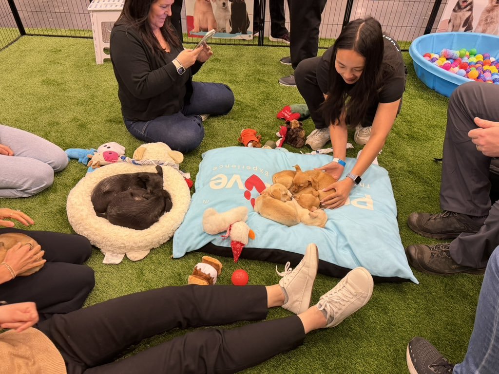 mochipomsky's tweet photo. @swyxio my kinda diversity https://t.co/JvLyAVvOJN