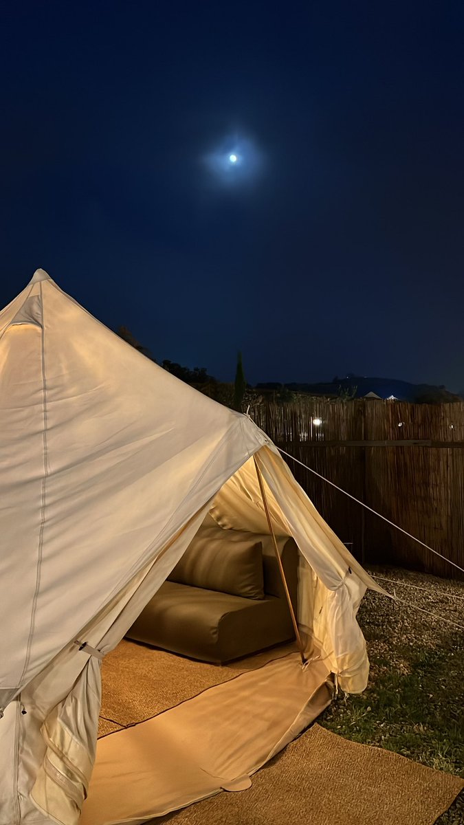 xp_rai0's tweet photo. ⛺️🌿✨🌌 https://t.co/PHd6wbu4Qn