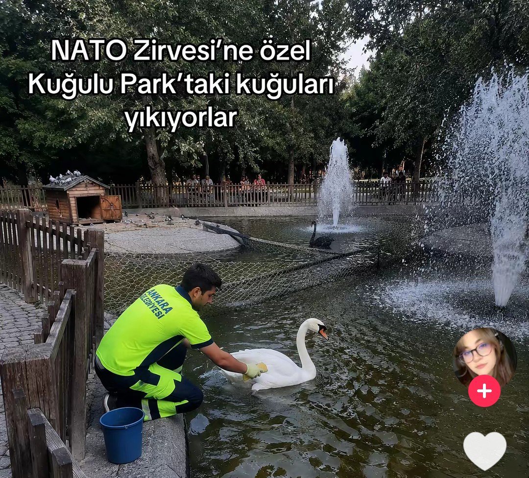 benkisirseverim's tweet photo. bagirtti https://t.co/VAik3hDdkN