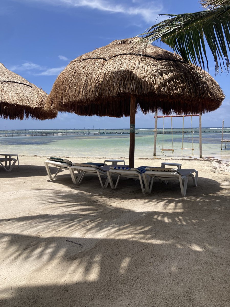 PDMahahual's tweet photo. Domingo 5 de Julio en #Mahahual ☀️🌴
#Mexico https://t.co/kkNMEnT9Zj https://t.co/FPNYqbjBTB
