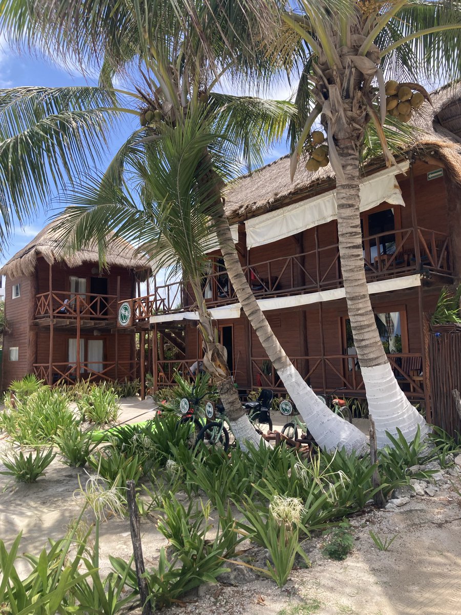 PDMahahual's tweet photo. Domingo 5 de Julio en #Mahahual ☀️🌴
#Mexico https://t.co/kkNMEnT9Zj https://t.co/FPNYqbjBTB