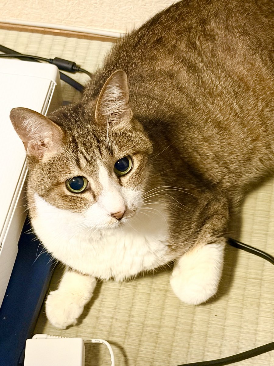 marorian29's tweet photo. おはようございます https://t.co/r4i96aWeo8