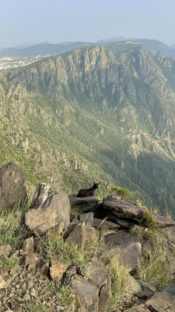 xp_rai0's tweet photo. Hiking | ⛰️🌿☀️ https://t.co/oaD9BkDZQf