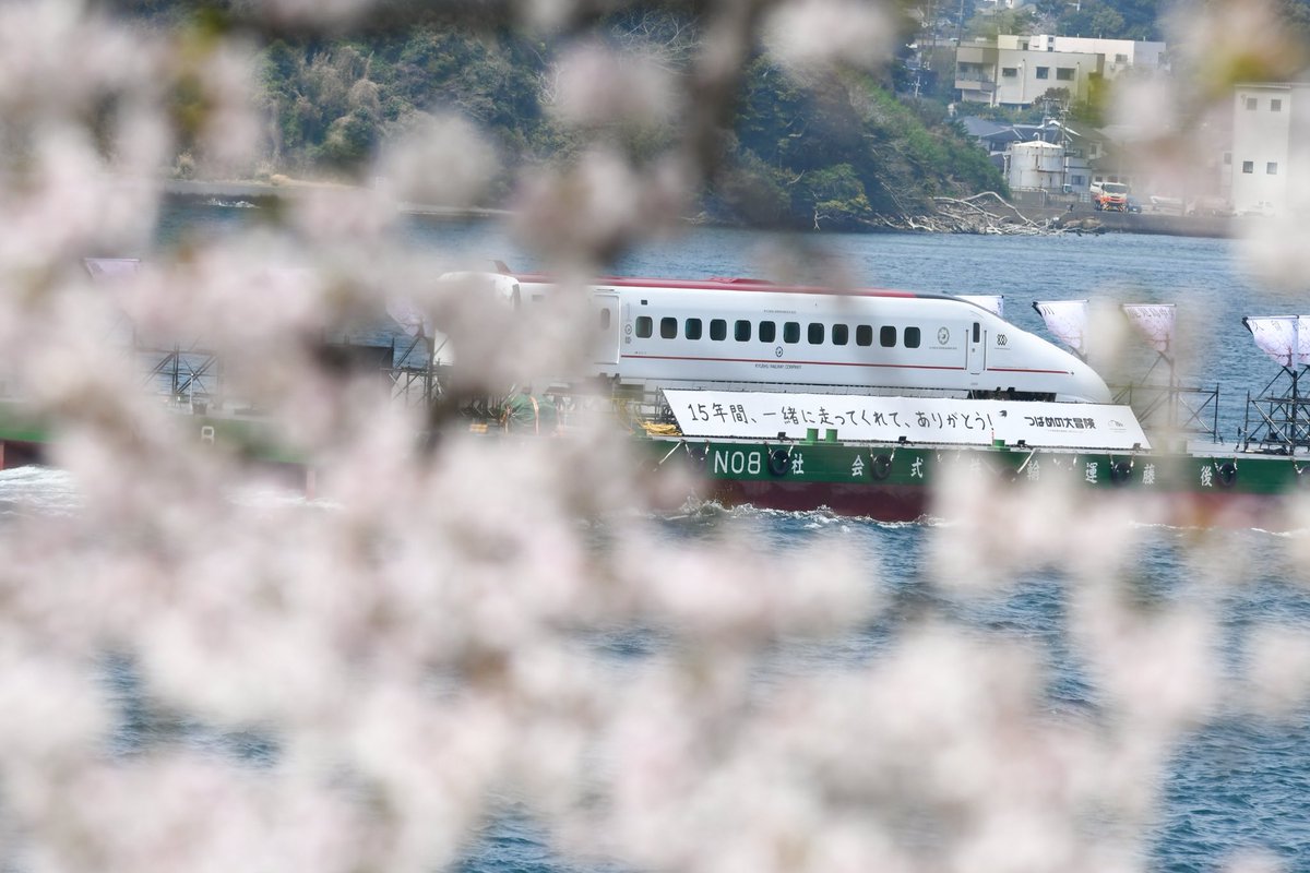 trakan200's tweet photo. #2026年自分が選ぶ今年上半期の４枚 https://t.co/qg65J9L6cb