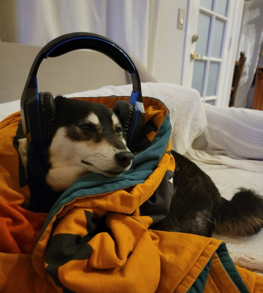 JessicaNigri's tweet photo. hello, can we please stop with fireworks? 
drones are so much cooler, safer, cleaner, and you can make some incredible shows with them!! 

i understand fireworks are nostalgic & fun🙂‍↕️, but i feel we are reaching a point as a collective that we can acknowledge when something that is fun can also be bad for animals and we can pump the breaks on it 🙏