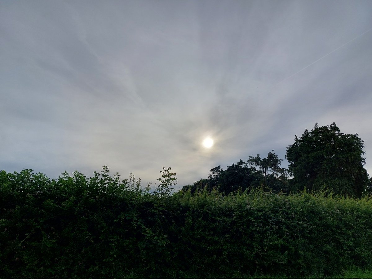 WildersLiz's tweet photo. #Day188 of #100daysofwalking #Day2008
#round6crew  #MentalHealthAwareness  #200daysofwalking 
 Another sunny Sunday, temperature rising again 26⁰ 🌞 https://t.co/hoDnpYbq3H