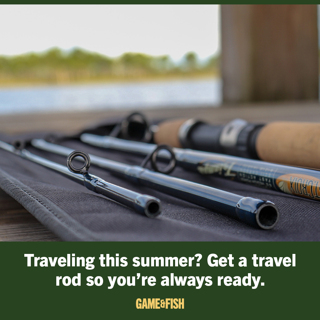 GameAndFishMag's tweet photo. If summer travel takes you near a lake, river, or stream, consider bringing a multi-piece travel rod along with you so you're always ready to wet a line.

Get the lowdown on nine different travel rod lines from contributor Frank Sargeant by clicking the link in the bio. https://t.co/yDi5Tn7cJ6