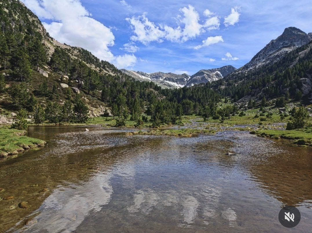 ricardrigall's tweet photo. Carançà. #carançà #conflent #pyreneesorientales #pyreneescatalanes https://t.co/7BiFX0S4Vy