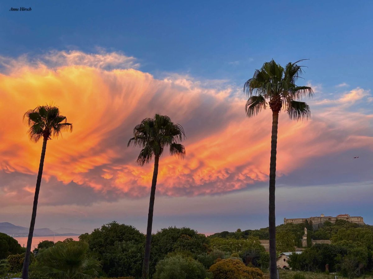 MeteoCotedAzur's tweet photo. ✨🌇 #InfoMétéo : Le ciel des #AlpesMaritimes a offert un spectacle exceptionnel ce soir. Un orage isolé en fin de vie, sublimé par les derniers rayons du soleil, a dévoilé d’impressionnants mammatus dans une ambiance absolument grandiose. 😍

#Nice06 #CotedAzurFrance https://t.co/Ghsf1qiH7g