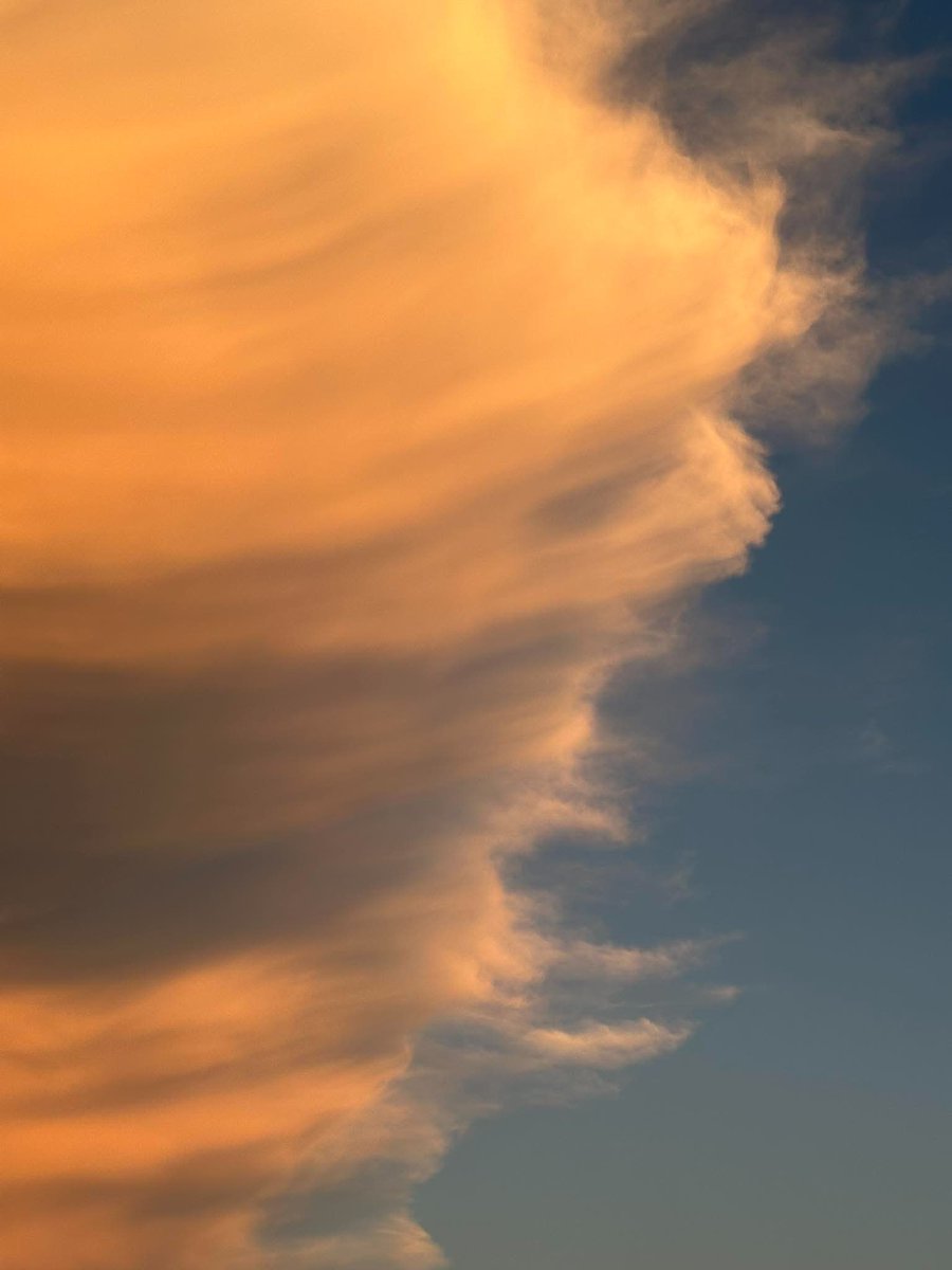 MeteoCotedAzur's tweet photo. ✨🌇 #InfoMétéo : Le ciel des #AlpesMaritimes a offert un spectacle exceptionnel ce soir. Un orage isolé en fin de vie, sublimé par les derniers rayons du soleil, a dévoilé d’impressionnants mammatus dans une ambiance absolument grandiose. 😍

#Nice06 #CotedAzurFrance https://t.co/Ghsf1qiH7g