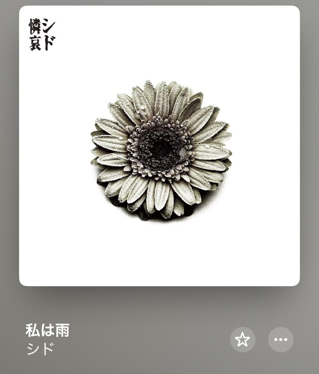 u_v2swallows's tweet photo. 朝起きて
あーこれだなー
と思った朝でした。

朝だよー＼(^o^)／ https://t.co/zi3XWHKXU0