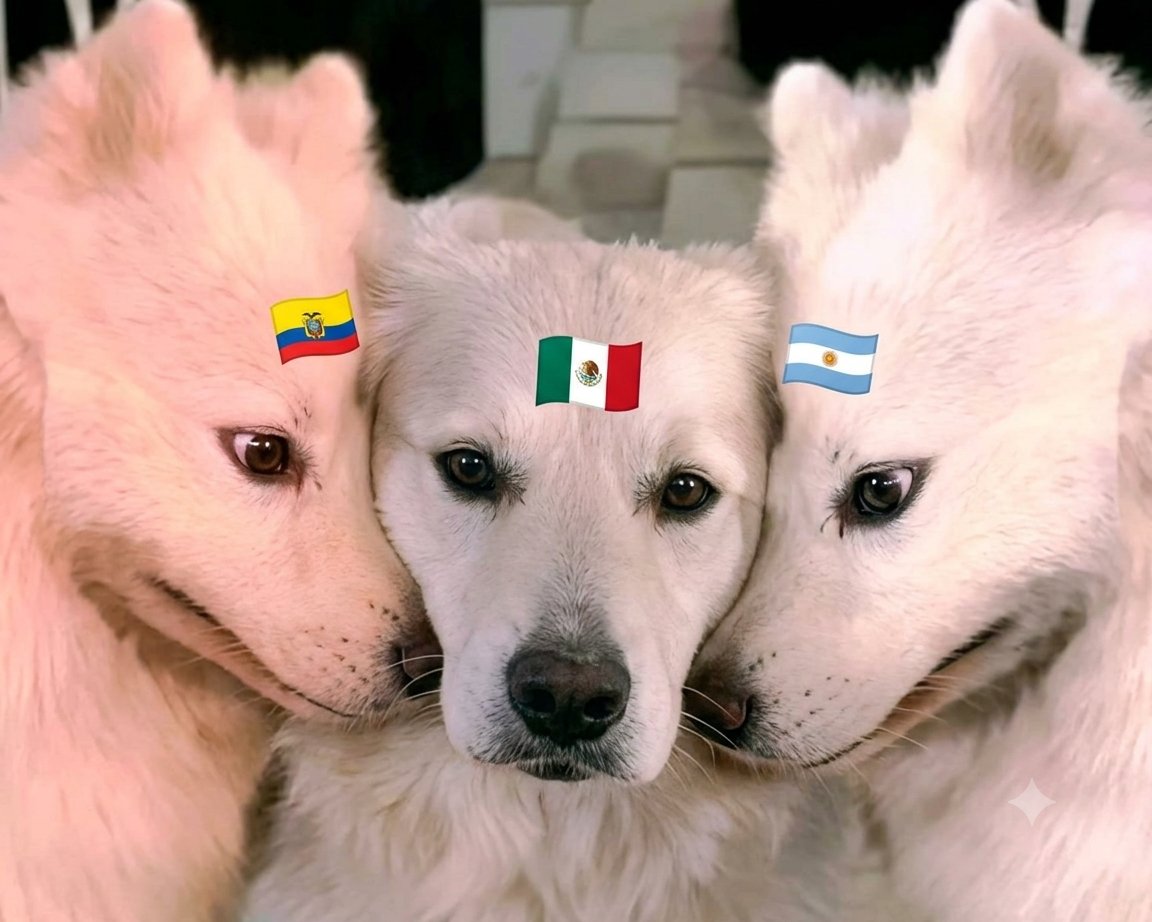 Oye_Mages's tweet photo. México existiendo... https://t.co/Eyis5EXsaY