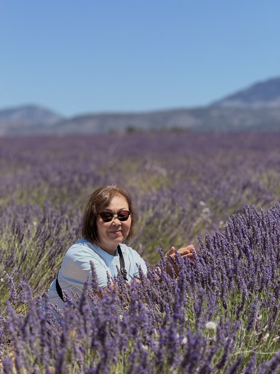 _anahikari's tweet photo. Desde pequena o cheiro de lavanda me lembra minha mãe. É o cheiro favorito dela. Ela sempre teve o sonho de conhecer campos de Lavanda. Ela foi pra todos que têm no Brasil, mas um dia ela queria mesmo conhecer um campo de lavanda na França. Ano passado ela passou por um câncer e, durante os longos dias que a acompanhei em cirurgia/quimio/tratamento, eu prometi pra ela que assim que ela se curasse eu ia levar ela pra realizar esse sonho e pra comemorar o fim da doença.

Hoje ela tá curada e a gente tá aqui pra celebrar o fim do tratamento e amanhã o aniversário de 71 aninhos dela 🫶🥰 
Viva viva viva!

Desejo pra vocês: que vocês possam realizar os próprios sonhos e os sonhos de quem vocês amam ❤️