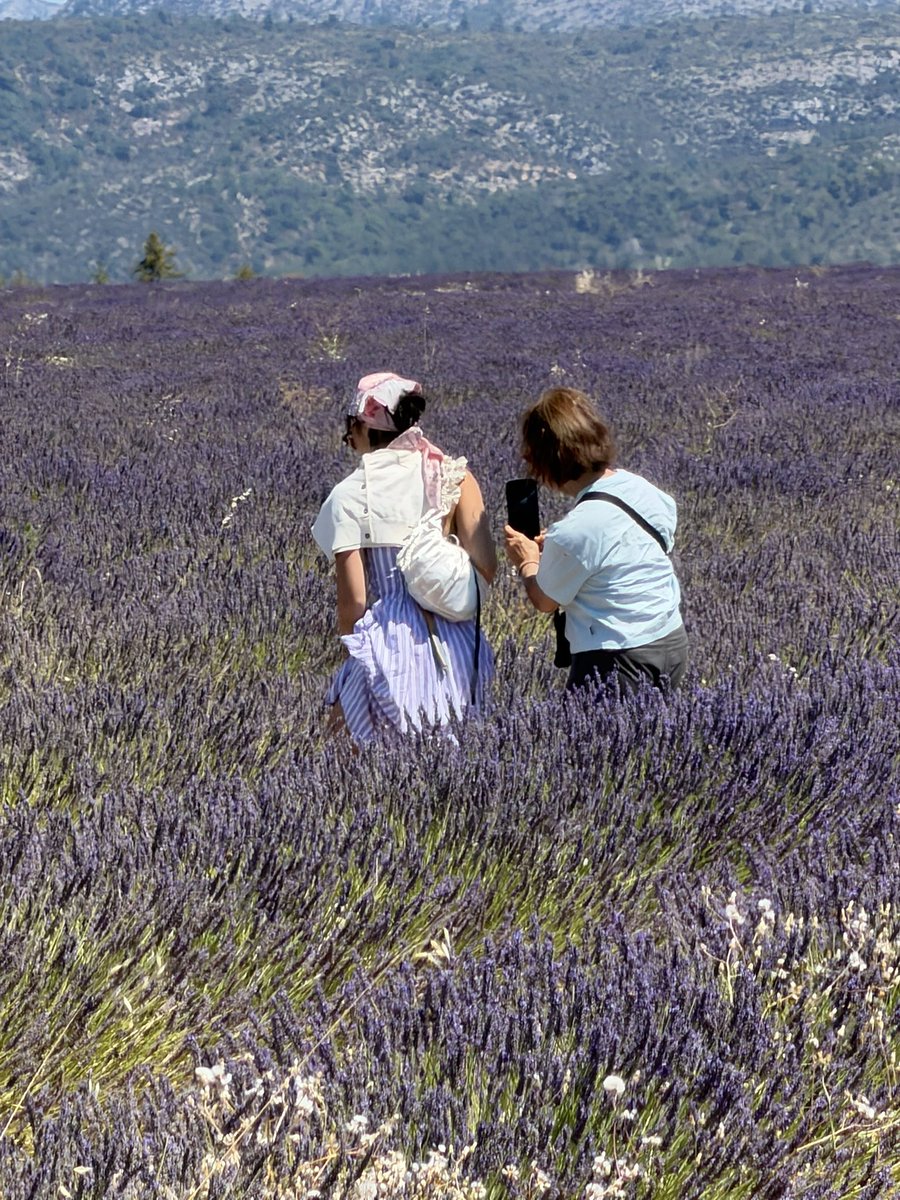 _anahikari's tweet photo. Desde pequena o cheiro de lavanda me lembra minha mãe. É o cheiro favorito dela. Ela sempre teve o sonho de conhecer campos de Lavanda. Ela foi pra todos que têm no Brasil, mas um dia ela queria mesmo conhecer um campo de lavanda na França. Ano passado ela passou por um câncer e, durante os longos dias que a acompanhei em cirurgia/quimio/tratamento, eu prometi pra ela que assim que ela se curasse eu ia levar ela pra realizar esse sonho e pra comemorar o fim da doença.

Hoje ela tá curada e a gente tá aqui pra celebrar o fim do tratamento e amanhã o aniversário de 71 aninhos dela 🫶🥰 
Viva viva viva!

Desejo pra vocês: que vocês possam realizar os próprios sonhos e os sonhos de quem vocês amam ❤️