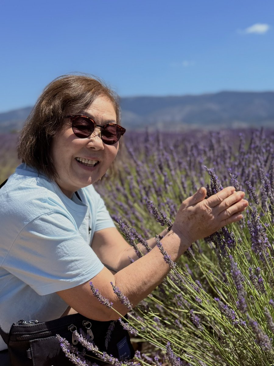 _anahikari's tweet photo. Desde pequena o cheiro de lavanda me lembra minha mãe. É o cheiro favorito dela. Ela sempre teve o sonho de conhecer campos de Lavanda. Ela foi pra todos que têm no Brasil, mas um dia ela queria mesmo conhecer um campo de lavanda na França. Ano passado ela passou por um câncer e, durante os longos dias que a acompanhei em cirurgia/quimio/tratamento, eu prometi pra ela que assim que ela se curasse eu ia levar ela pra realizar esse sonho e pra comemorar o fim da doença.

Hoje ela tá curada e a gente tá aqui pra celebrar o fim do tratamento e amanhã o aniversário de 71 aninhos dela 🫶🥰 
Viva viva viva!

Desejo pra vocês: que vocês possam realizar os próprios sonhos e os sonhos de quem vocês amam ❤️