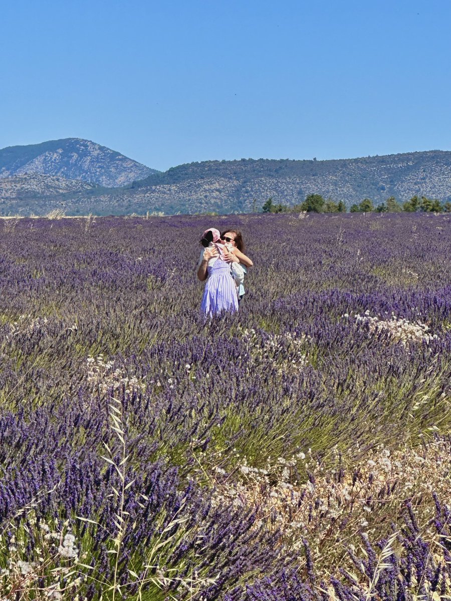 _anahikari's tweet photo. Desde pequena o cheiro de lavanda me lembra minha mãe. É o cheiro favorito dela. Ela sempre teve o sonho de conhecer campos de Lavanda. Ela foi pra todos que têm no Brasil, mas um dia ela queria mesmo conhecer um campo de lavanda na França. Ano passado ela passou por um câncer e, durante os longos dias que a acompanhei em cirurgia/quimio/tratamento, eu prometi pra ela que assim que ela se curasse eu ia levar ela pra realizar esse sonho e pra comemorar o fim da doença.

Hoje ela tá curada e a gente tá aqui pra celebrar o fim do tratamento e amanhã o aniversário de 71 aninhos dela 🫶🥰 
Viva viva viva!

Desejo pra vocês: que vocês possam realizar os próprios sonhos e os sonhos de quem vocês amam ❤️
