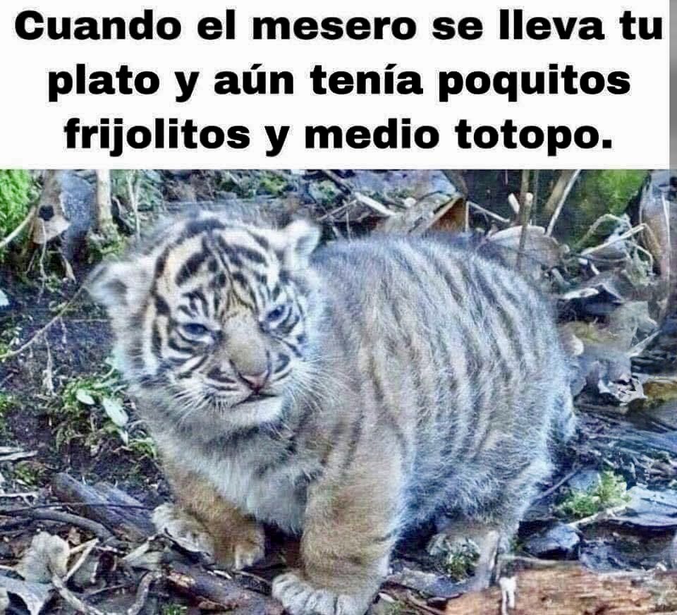 PediaNu's tweet photo. Pinche gente y así quiere propina 😒 https://t.co/F5Iya7HsPk