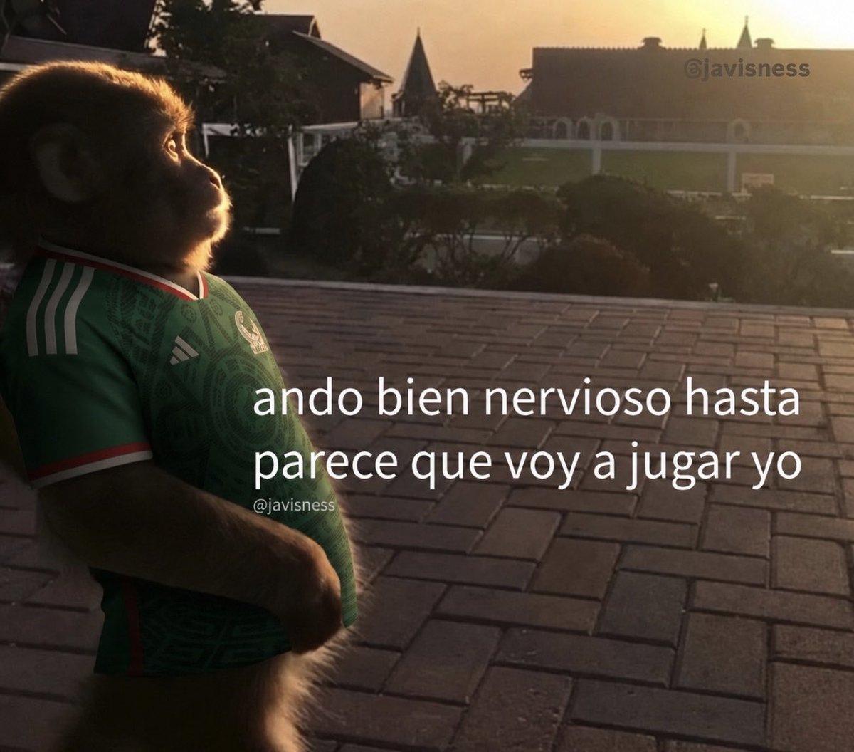 Javisness's tweet photo. https://t.co/puCtjtJWhH