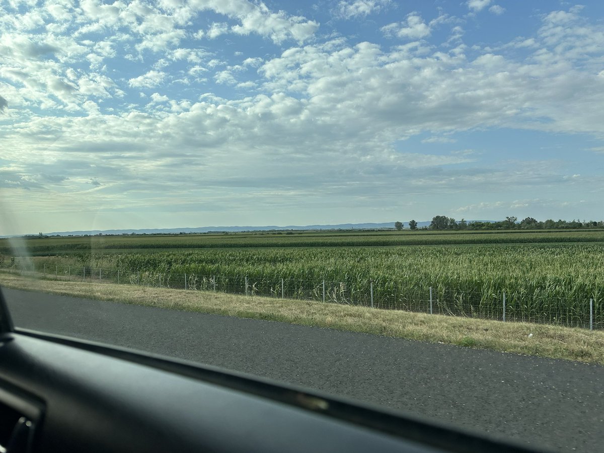 ziovlas's tweet photo. Hi everyone 

I'm back in Eastern Europe(non-EU) 

🥳🎉🥳🥳🎉🥳🥳🥳🎉🥳🥳🎉🥳🎉🥳🎉🥳🎉🥳🇷🇸🇷🇸🇷🇸🇷🇸🇷🇸🇷🇸🇷🇸🇷🇸🇷🇸🇷🇸🇷🇸🇷🇸🇷🇸🇷🇸🇷🇸🇷🇸🇷🇸🇷🇸🇷🇸🇷🇸 https://t.co/f0fB1UH0O9