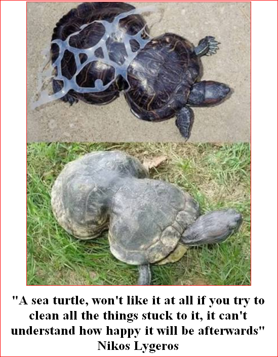 AthinaKech36429's tweet photo. "A sea turtle, won't like it at all if you try to clean all the things stuck to it, it can't understand how happy it will be afterwards"
Nikos Lygeros https://t.co/kep2IMXElT