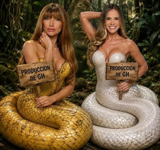 m_rvaldez's tweet photo. @BlissedRtu Deja de hablar alpedo ahí la única q arruinó el formato de gh son estas dos culebras https://t.co/eRk1Jodo7l