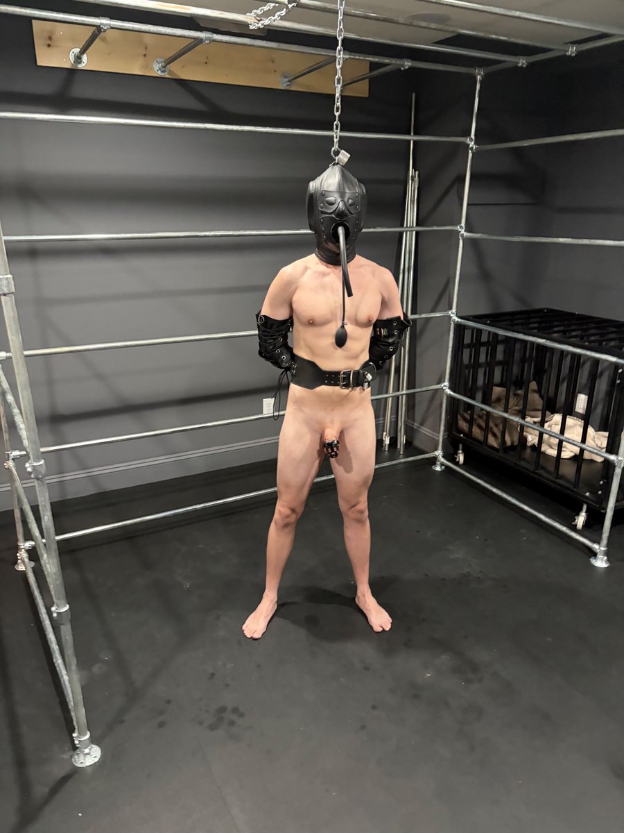 alexroped's tweet photo. @PupBond looks so good and was straining in his cage before the restraints even started to go on . . . and then was leaking in his cage once he found himself chained up.  😋 https://t.co/1AzfQIKg9a