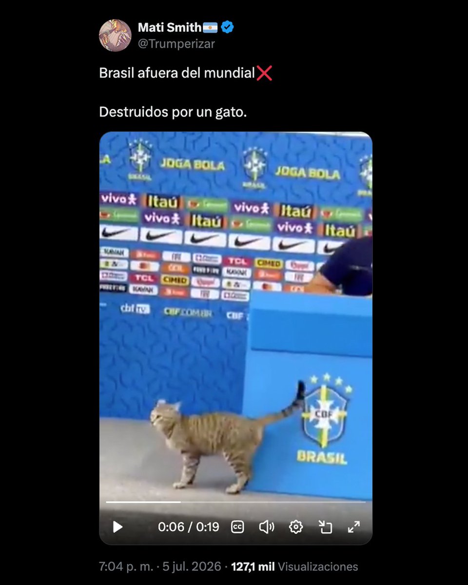 infobae's tweet photo. LAS REDES NO LO OLVIDAN 📲🐈‍⬛

Brasil se quedó afuera del Mundial 2026 y las redes sociales vuelven a recordar la denominada “maldición del gato”.

🔙 En Qatar 2022, el jefe de prensa de la selección brasileña arrojó al felino en plena conferencia. Desde ese momento la verdeamarelha entró en una de las peores rachas.

https://t.co/Xq95tjniat