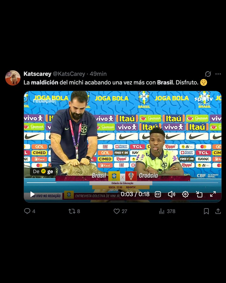 infobae's tweet photo. LAS REDES NO LO OLVIDAN 📲🐈‍⬛

Brasil se quedó afuera del Mundial 2026 y las redes sociales vuelven a recordar la denominada “maldición del gato”.

🔙 En Qatar 2022, el jefe de prensa de la selección brasileña arrojó al felino en plena conferencia. Desde ese momento la verdeamarelha entró en una de las peores rachas.

https://t.co/Xq95tjniat