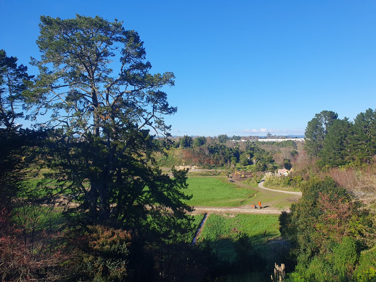 BayPropertyPro's tweet photo. Here is something that my industry needs to understand.... and change if they feel they aren't aligned with this philosophy. 

Look at this photo. What do you see?

Blue sky. Green trees. Brown (winter) trees. Pink cherry flowers (bottom left). A little stream. Green grass. Clay and pathways. 

I see absolute beauty. 

This is New Zealand. 

Do you know what else you can see?

A digger. A truck. Is that grabbing machine called a loader? It's used to remove trees. I can also see a couple of guys standing there discussing something. 

This is important. Development. 

Development creates homes for the growing population.

It creates jobs for the growing population.

It creates security for the people.

What I'm concerned about is the WAY we're developing.

This photo was taken from the widow at my gym (Aspire, Bethlehem) - we are so lucky to have machines overlooking such a gorgeous view of nature!!!

I wondered though as I ran on my little machine.... what will this view be like once these guys have completed their project? 

It breaks my heart sometimes when I see developments popping up.

In the spa I got chatting with a guy who lives in the place across the road. I asked what he likes & doesn't like about it (I'm in planning ohase for my apartment Building so these questions are super important) & he said the thing he misses the most is the garden & the lawns. The windows are really small, but it's nice to be close to the river. This is all good research! The deepest research is in the deepest most personal conversations - not necessarily in a survey form (although we have this available as well).

This is why I have created Project Connect. It's a month to month community where investors, home owners, change makers, developers, accommodation providers gather to connect (hence the name) and share their research, learn from each other, with guided inquiry into the depths of meaning & possibility.

We are the ones who create lives for people through their home living spaces, & temporary accommodation. 

We are responsible for the well-being of the country. 

Are we doing it right?

I would love to meet you if you're interested in driving positive change in NZ ��