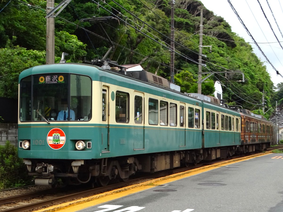 TakashimaExp2's tweet photo. 7/5(日)
7月中旬での引退が発表されている江ノ電1000形1001-1051号を撮影。引退記念のヘッドマーク付きの姿を、初夏の線路端の花と共に撮影出来ました。
この編成の引退後も、吊り掛け駆動の1000形前期車は残存しますが、江ノ電では大分久しぶりの車両置き換えということで、結構なインパクトですね。 https://t.co/1tZEqFK9Ka