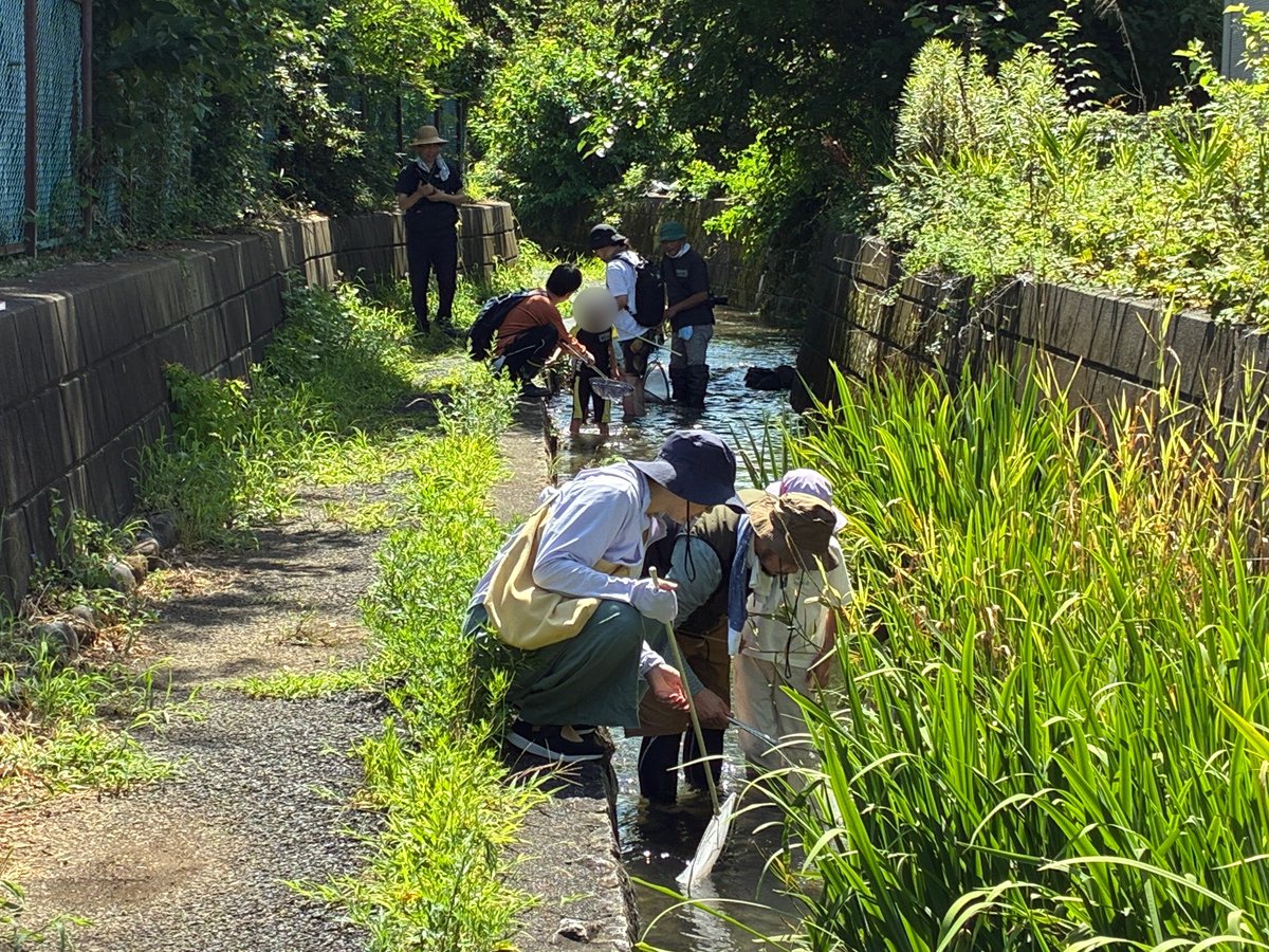 夏休み！親子で調べよう日野用水」開催 ／ 日野の用水にはどんな 