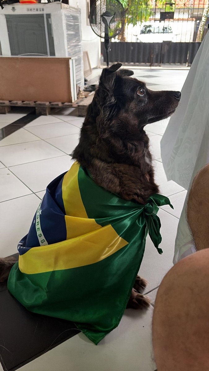 choke7_'s tweet photo. ela assim https://t.co/aRo1ak6Xy7