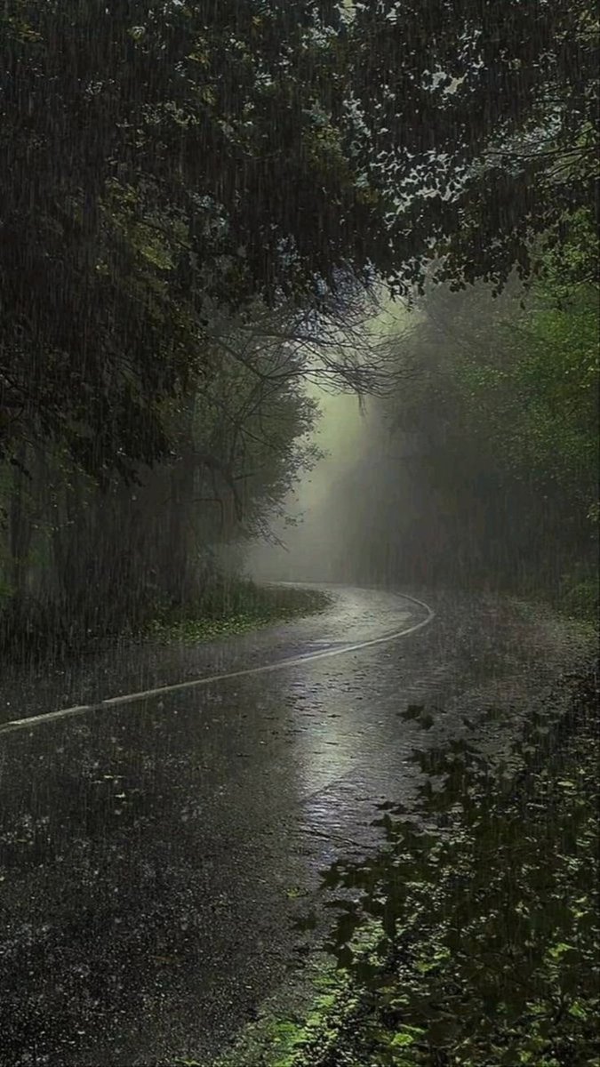 spooky_nature's tweet photo. rainy roadtrip = peace https://t.co/sDqjNY1hRc