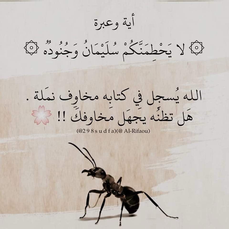 Rawai3_Quran's tweet photo. https://t.co/vQ0HyjRaXm