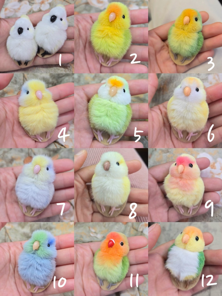 zaczacbird's tweet photo. 인용으로도 달아봐요!
다양한 종류의 앵무새가 있어요(사랑앵무, 모란앵무, 퀘이커, 코뉴어 등등...)
수제작 작품이라 가격대가 꽤 있습니다
그치만 저는 만족하는 편이에요(실생활로 달고 다니기도 좋음)
저희집 앵무는 정말 싫어합니다... 강약약강의 표본
https://t.co/AuNyybAnJn https://t.co/27Qrx5wqKY