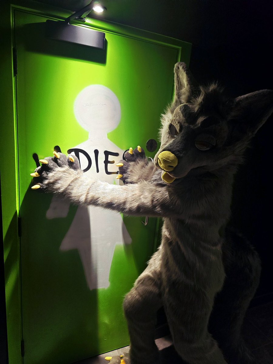 moonethewolf's tweet photo. My reaction if you annoy me 🐺💢 #FursuitEveryday #NottsFurs
📷 - @CChaosDog https://t.co/lK2axstx3J