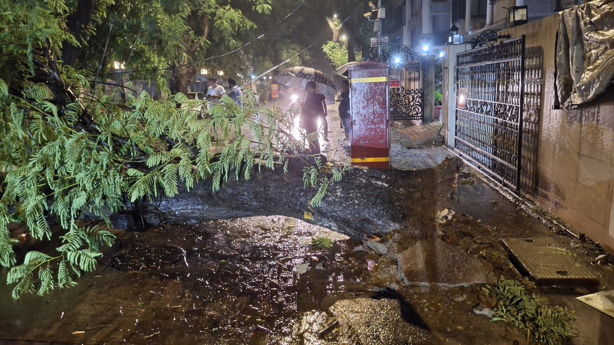 AlvaresSonal's tweet photo. Roots of 40+ yo tree butchered by the drain dug up and concretised on one side and road on the other. @mybmc @mybmcWardHW who is responsible? This is 15th road Bandra west where few months ago all roads and drains were dug up and concretised! https://t.co/Ycqh5uMCyX