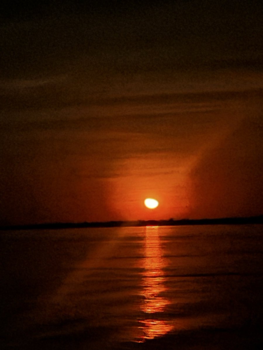 crvgabz's tweet photo. A lua ontem, 21h53 visto do Rio Amazonas. Foi lindo 😍. https://t.co/oBQoLJW0x8