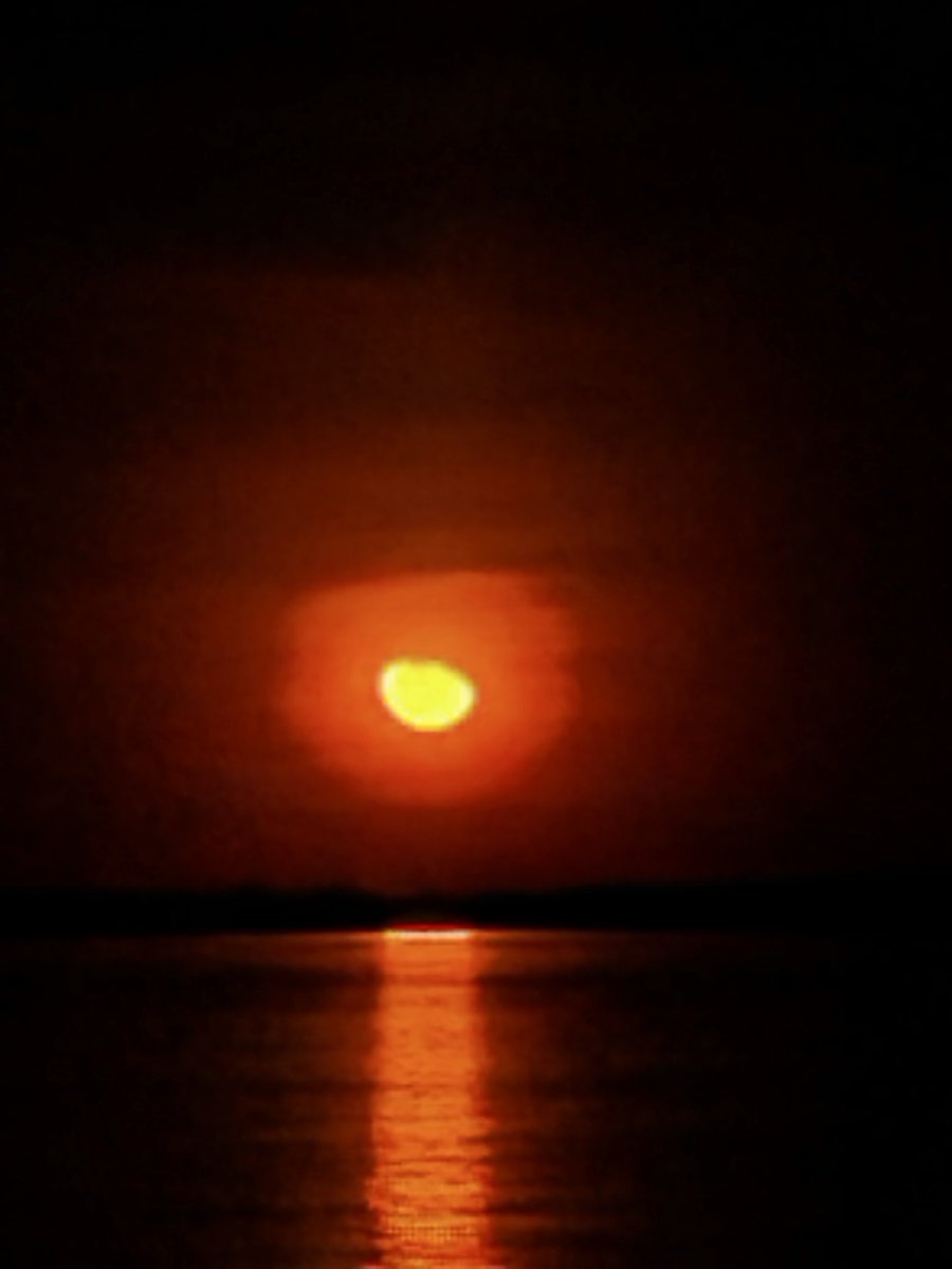 crvgabz's tweet photo. A lua ontem, 21h53 visto do Rio Amazonas. Foi lindo 😍. https://t.co/oBQoLJW0x8