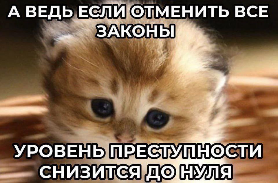 dxtmrg's tweet photo. мысли? https://t.co/ZLCxGHYB2o