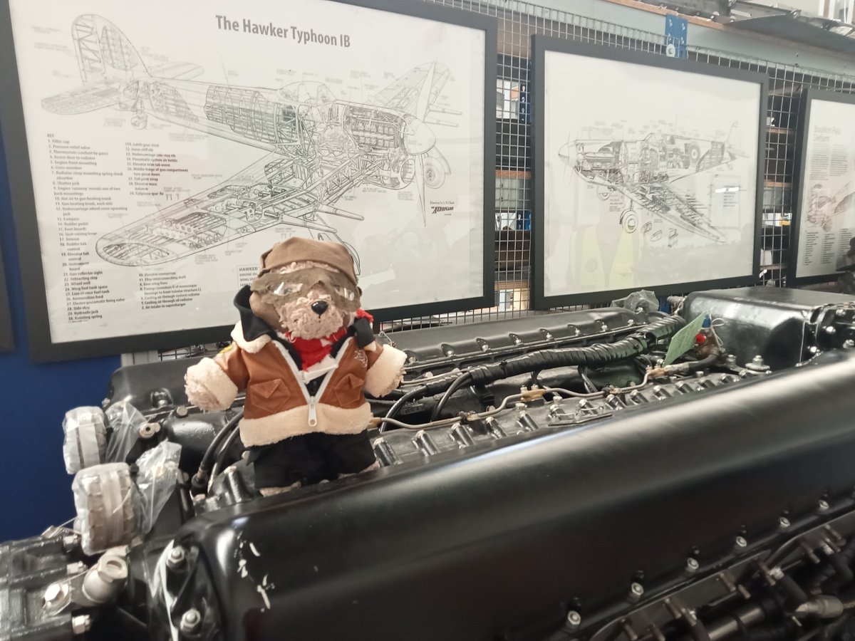 SonningBear's tweet photo. @TourGuideTed It was great to see Grizzly safely back on the ground!
Then we had a look around the museum and aircraft repair workshop, before a beer with my mate Theo!
#SmallBearsNeedBeer https://t.co/N2S0ytkkJU