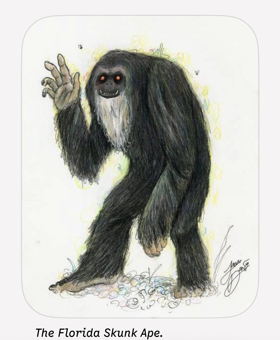 A0131A's tweet photo. @Tittoman97 @Jaybreezy3023 @Que_TheLaker @TheDunkCentral That would be the legendary Florida Skunk Ape. 🦨💨 I’ll DM you after the announcement to get your shipping info. https://t.co/yY1uQT04PA