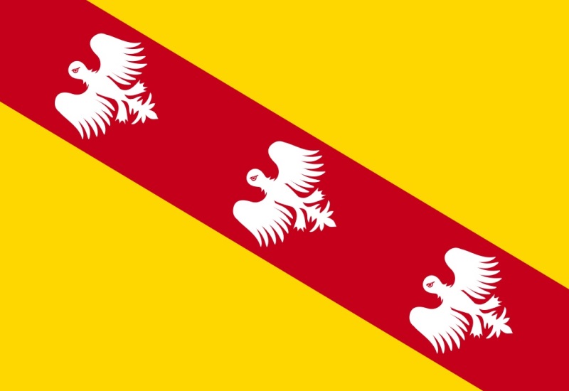 Parti_Lorrain's tweet photo. Sur la route des vacances, montrez aux autres régions que vous êtes fiers d'être Lorrains ! 💛❤️💛

Commander sur : https://t.co/at6g6Idc4z https://t.co/Sx2CjZyj9N