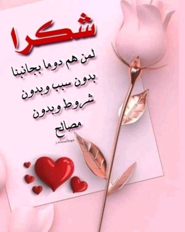 AbsiImmort18218's tweet photo. @chayma65589 ليس كل من بقي
معك وفيا٬وليس
كل من رحل خذلك
فبعض الغياب رحمة.
اللهم صلي على سيدنا
ونبيناوحبيبنامحمد
اللهم صلي وسلم عليه https://t.co/EjAlRt74Yi