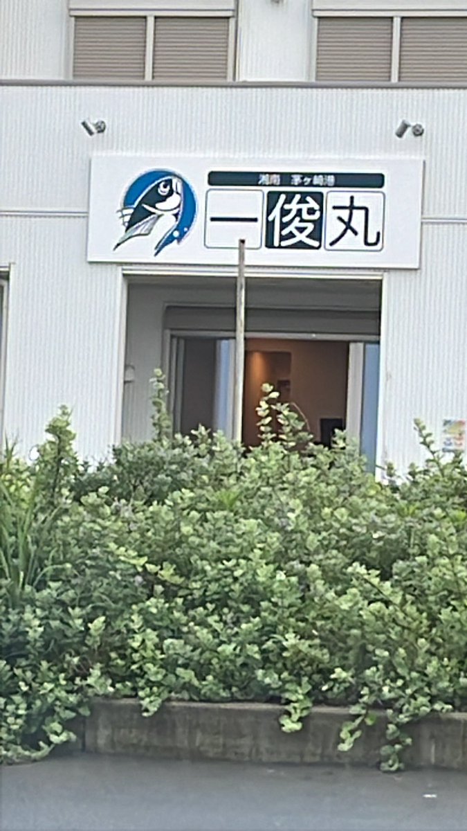 hagi_show's tweet photo. 今日は相模湾から久しぶりのキス〜。
天ぷら食いてぇ🍤 https://t.co/7UO2past3H