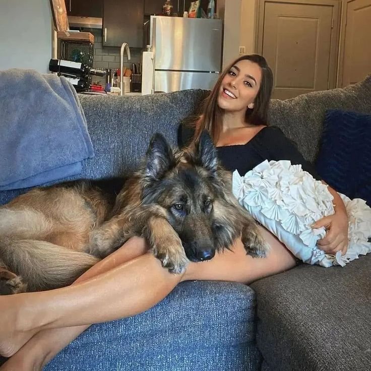 JulesPawlny's tweet photo. A house is never lonely when there’s a dog waiting for you at the door 🐾❤️ #dogs #USA2026 ##DogMoments 
https://t.co/vyw3XTklRr… https://t.co/BG4UwcRoIJ