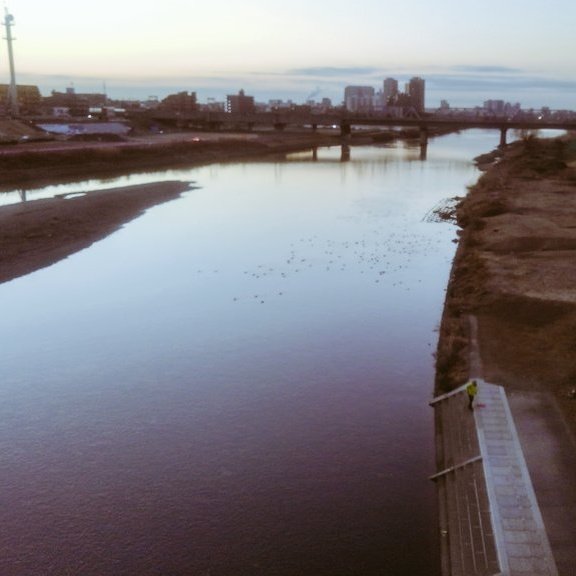 bachimaru37's tweet photo. お早うございます。☺️
曇りの朝です。雨は降らないのかな。週始めの月曜日。 https://t.co/s4rv0ZKCKv