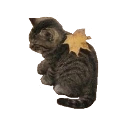 kittynihility's tweet photo. 🥐 . . .⠀⠀꒰ #promotwt #moothunt ꒱

  𓂃    .๑  val ノ burner minor 🍮𓏲
   ⠀🐈 they 𝄞 them ₍^. .^₎⟆
   ₊˚  ednos nbpd audhd ect ⌒₊🧺
 ⠀ °｡ ndni 彡 osdd sys 🏷️ ibf₊˚
   ˖🥖 ifb all shedtwt ⋆ semi-ia ︵︵

♡ / ↻ appreciated ノask to be moots .ᐟ https://t.co/kCY3egU3P6