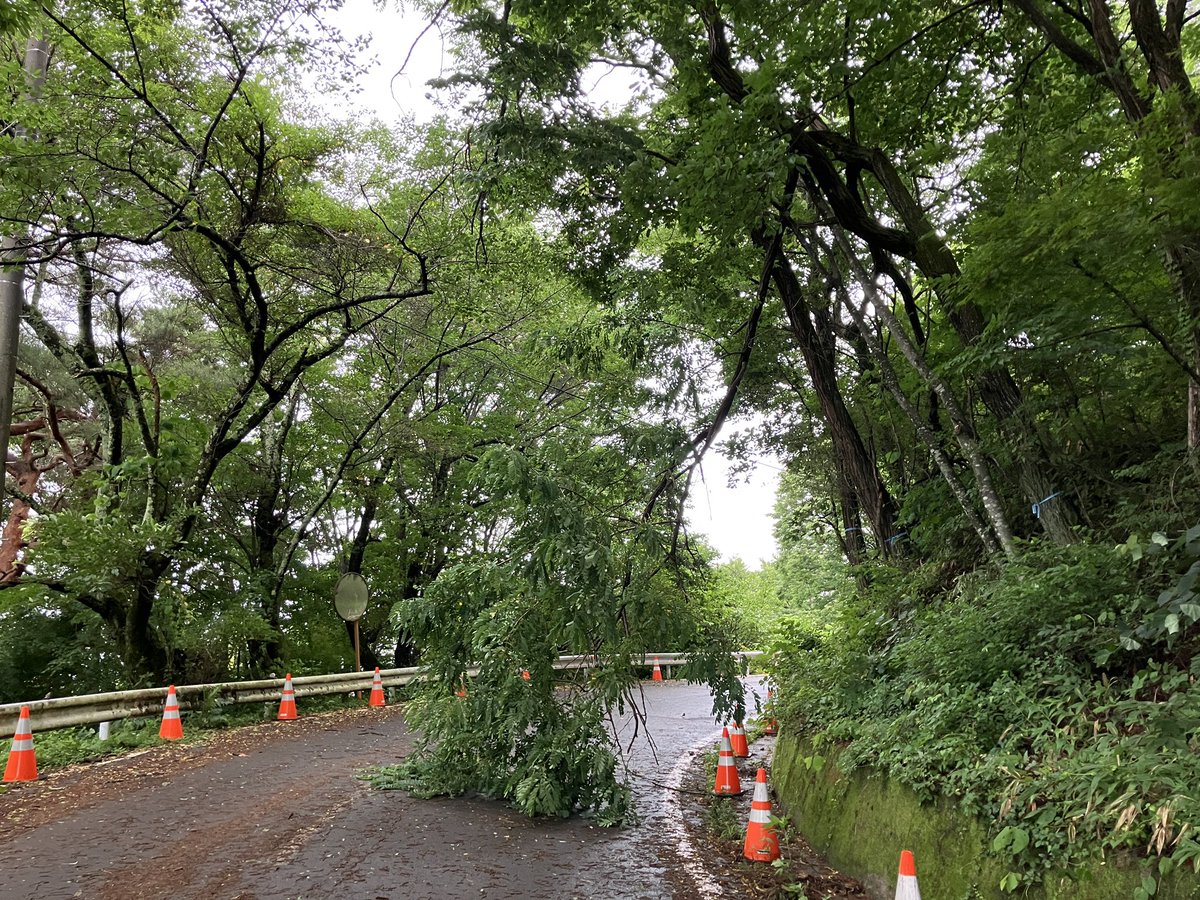 CRAZY_RHYTHMS's tweet photo. 諏訪市、立石公園上、あさぎりの郷の下あたり倒木あり。 https://t.co/tr2eloftbG